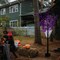 Celebrations Celebrations Orange/Purple 350 ct 5 ft. LED Prelit Spooky Tree Yard Decor SPTT5PLORA - alternate 2